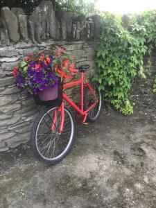 a red bike with a basket full of flowers at Blackrath Farmhouse in Dún Luáin