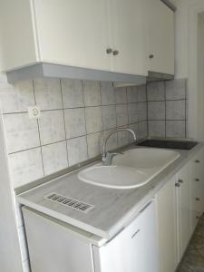 Kuchyň nebo kuchyňský kout v ubytování Panorama Apartments