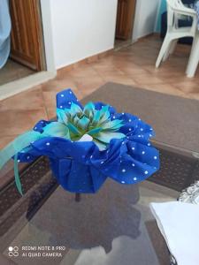 a blue flower sitting on top of a table at HAIKU HOME in Cala Gonone +91 photos