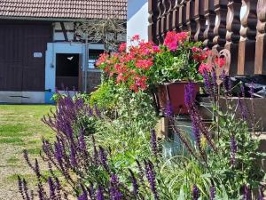 Cosy holiday home in Schleithal with garden في Schleithal: حديقة فيها ورد في وعاء على جانب المنزل
