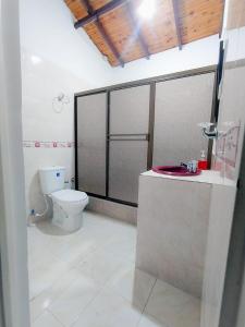 La salle de bains est pourvue de toilettes et d'un lavabo. dans l'établissement EcoHotel Colibrí, à Luna Park