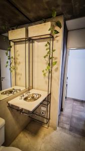 un baño con lavabo con una planta encima en Casa D, moderna de 2 habitaciones con jardín en barrio privado en San Salvador de Jujuy