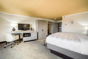een hotelkamer met een bed, een bureau en een televisie bij Holiday Inn Mobile Downtown Historic District, an IHG Hotel in Mobile