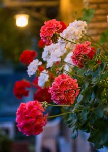 un montón de flores rojas y blancas en un jarrón en Hotel La Rosa en Ronta
