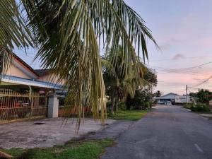 a palm tree hanging over a street next to a house at Kenyalang Lutong Homestay in Miri