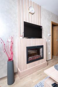 Gallery image of Apartman Jula 122 in Zlatibor