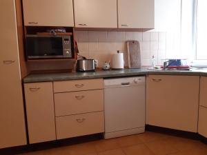 Kuchyň nebo kuchyňský kout v ubytování Jõesuu Home Accommodation