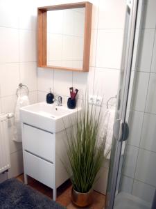 Koupelna v ubytování Ferienwohnung in Seewalchen + 11 fotografií