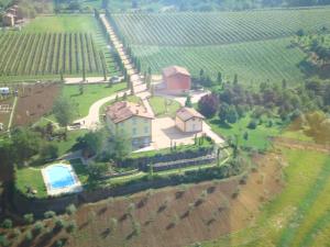 an aerial view of a house in a vineyard at La Vedetta Bed and Breakfast in Castelvetro di Modena