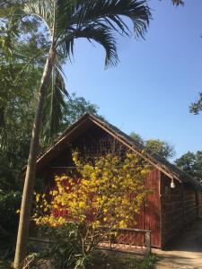 uma casa com uma palmeira ao lado em Chau Doc Homestay em Chau Doc