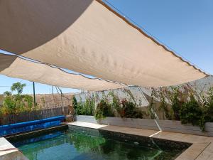 a swimming pool with an umbrella and some plants at Villa Bougainvillea in Ashalim