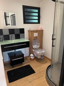 a bathroom with a sink and a toilet at case à roches in Saint-Gilles les Bains
