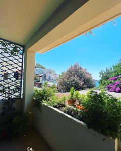 Zahrada ubytování Apartment Plazza Rafailovici