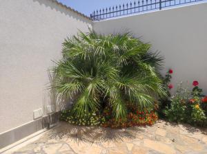 Giardino di Terra D'Aspra