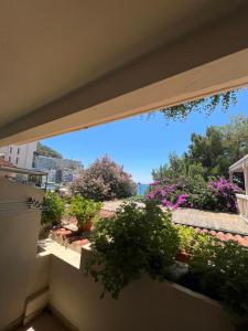 Zahrada ubytování Apartment Plazza Rafailovici