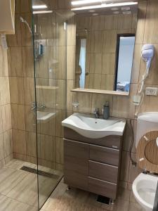 een badkamer met een wastafel en een douche bij CASA PARASCHIVA in Orşova