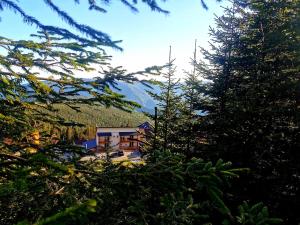 a house in the midst of trees and a mountain at Complex Veverița Rânca in Ranca