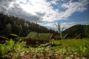 JaworekFrydrysówka的草场上树木背景的房子