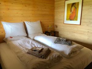een slaapkamer met 2 bedden en handdoeken bij Singelstate het Tuinhuis in Gorredijk