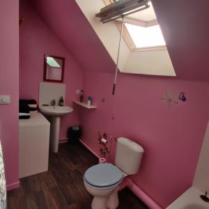 un bagno rosa con un water e un lavandino di Maison avec Jardin avec 3 chambres a Corquilleroy Altre 16 foto