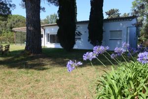 Ein Garten an der Unterkunft ROIG