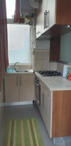 Kuchyň nebo kuchyňský kout v ubytování Apartament KEDA