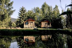 Borzont的住宿－Birtok Houses - twin no. 2 for 2 people，树林中的房屋,水中反射