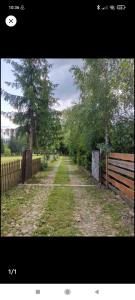 una strada sterrata con una recinzione e alcuni alberi di Birtok Houses - twin no. 2 for 2 people a Borzont