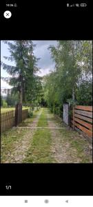 a dirt road with a fence and some trees at Birtok Houses - twin no. 2 for 2 people in Borzont