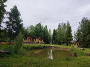 a house in the middle of a field with a pond at Birtok Houses - twin no. 2 for 2 people in Borzont