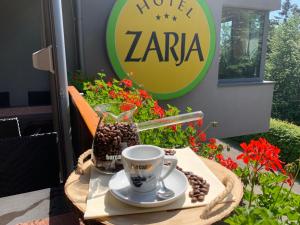 Giardino di Hotel Zarja
