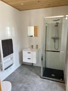 a bathroom with a shower and a sink at Luxury Guest House in the Centre of Argeles Gazost in Argelès-Gazost