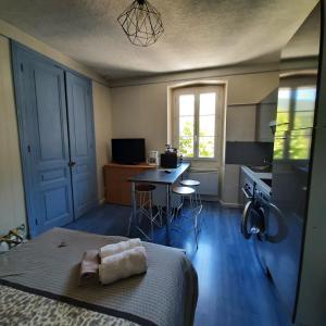 1 dormitorio con cama, mesa y cocina en Beau séjour en Aiguebelette-le-Lac