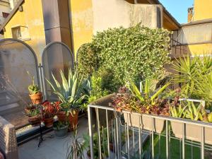 a balcony with a bunch of plants on a building at The Jasmine Terrace Retreat in Bologna