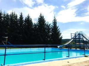 Bazén v ubytování Venkovská usedlost Horšice nebo v jeho okolí