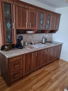 多納瓦利的住宿－Apartman 508 Residence，一个带木制橱柜和水槽的厨房