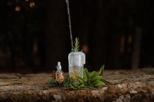 Fotografie z fotogalerie ubytování Vallicciola Nature Hotel v destinaci Tempio Pausania