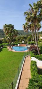 a swimming pool with palm trees and a fence at La Pedrera Font Nova in Peniscola