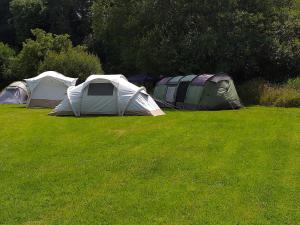 Foto sihtkohas Saint Mullins asuva majutusasutuse St Mullins Camping galeriist