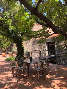 stół i krzesła siedzące pod drzewem w obiekcie Maison au coeur d'un vignoble w mieście Cases-de-Pène