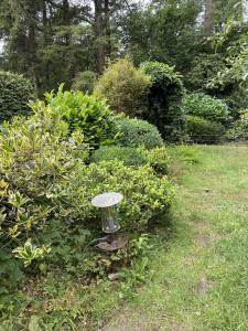 Zahrada ubytování Comfortabel tot rust komen in het Veluwse bos