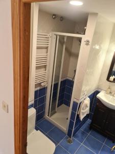 Koupelna v ubytování Apartamento en Panticosa