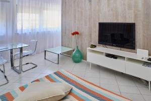 TV a/nebo společenská místnost v ubytování NOVIGRAD BOUTIQUE APARTMENT