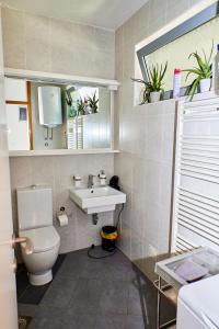 Koupelna v ubytování NOVIGRAD BOUTIQUE APARTMENT