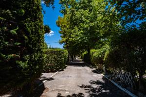 Fotografia z galérie ubytovania Tsamadanis Hotel & Bungalows Friends Family v destinácii Karavómilos