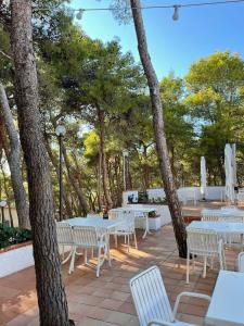 a patio with white tables and chairs and trees at Villaggio Internazionale Punta del Diamante in San Domino