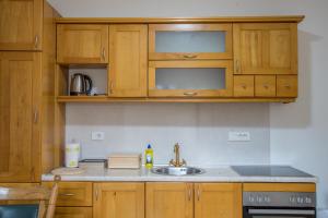 Cucina o angolo cottura di Monte Pino Lux Apartments