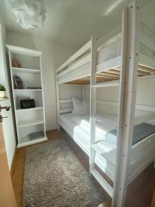 霍蓋思的住宿－Ferienwohnung Harz #3, Pool, Sauna, WLAN，卧室配有两张双层床和地毯。