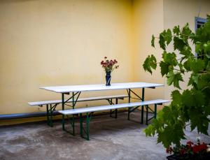 Fotografie z fotogalerie ubytování Maslinčica v destinaci Veli Iž
