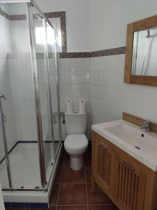 a bathroom with a toilet and a shower and a sink at Ave Maria 8 in Tarifa